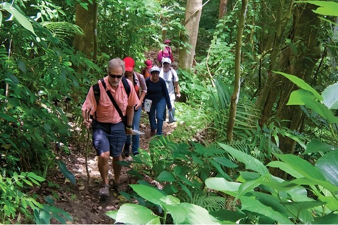 Puerto Plata Rejoya River Excursion Amber Cove Taino Bay Hotels - Where pickup fits in: Amber Cove cruise mornings and hotel access