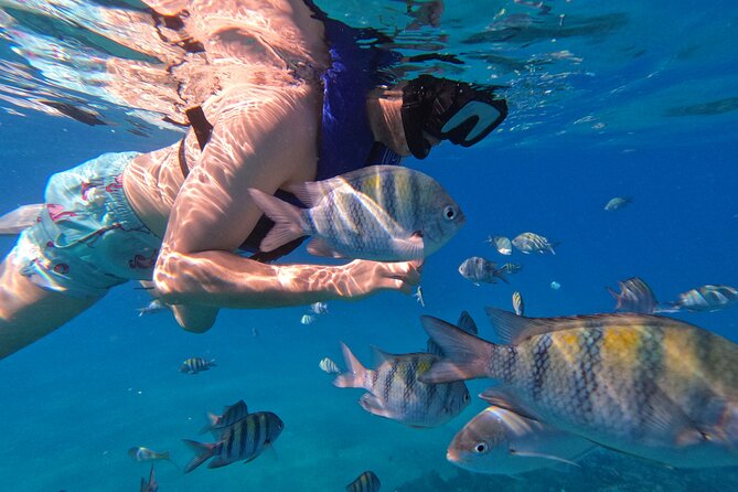 Puerto Plata Shore Excursion, Snorkeling tour & Sosua Beach Day - Boat ride reality check: small speed-boat expectations