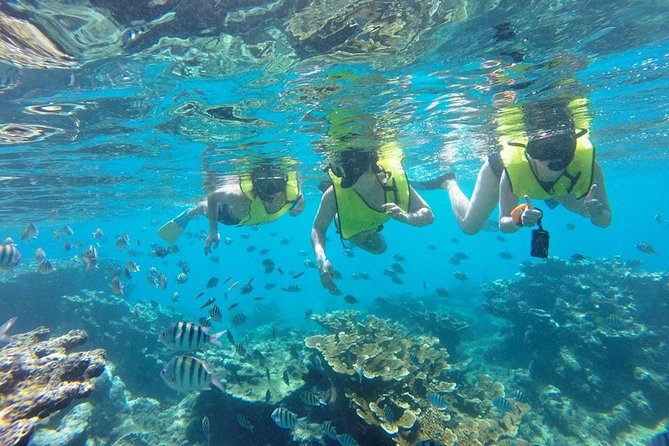 Puerto Plata Shore Excursion, Snorkeling tour & Sosua Beach Day - Who should book this Sosúa snorkel and beach day?