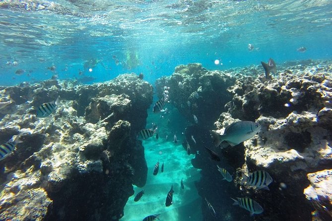Puerto Plata Shore Excursion, Snorkeling tour & Sosua Beach Day - Should you book it?