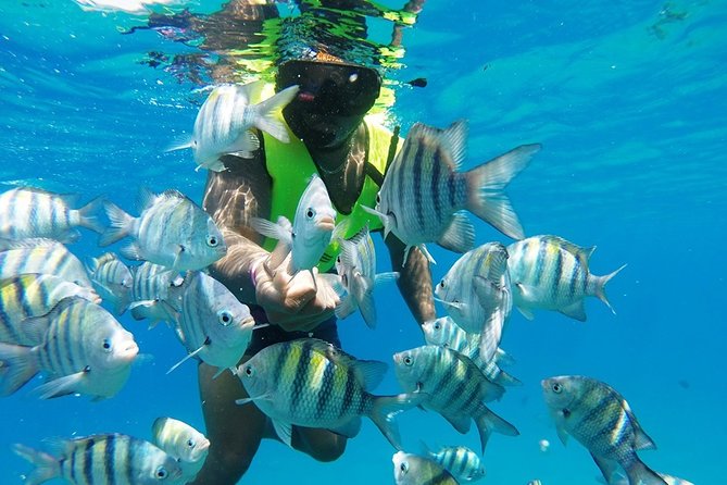 Puerto Plata Shore Excursion, Snorkeling tour & Sosua Beach Day - Snorkeling the reef: two Sosúa Bay spots with real help