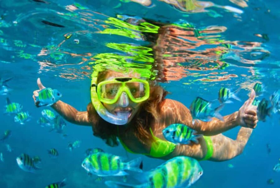Puerto Plata: Snorkeling Excursion to Sosúa beach - Key things to know before you go