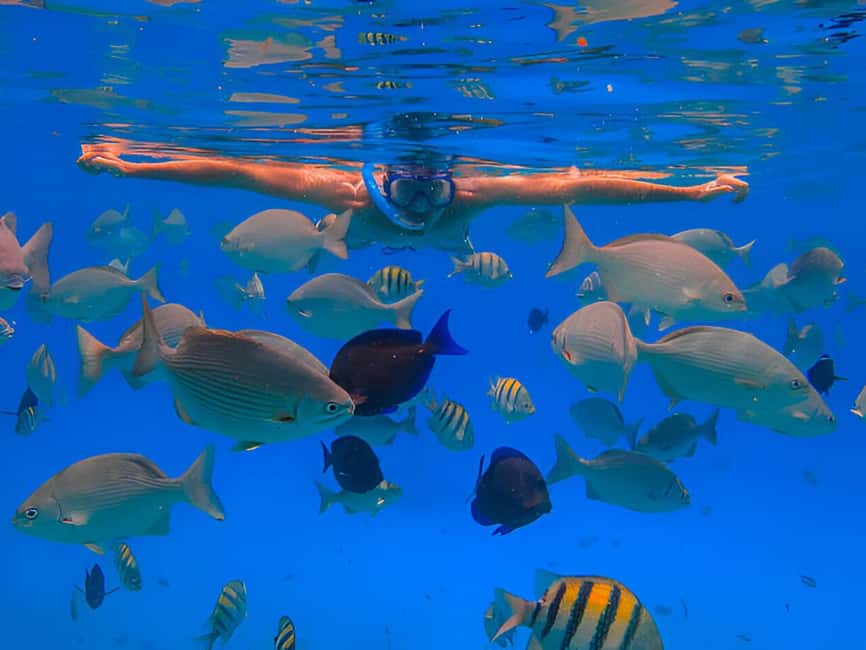 Puerto Plata: Snorkeling Excursion to Sosúa beach - Why this Puerto Plata snorkeling day works so well