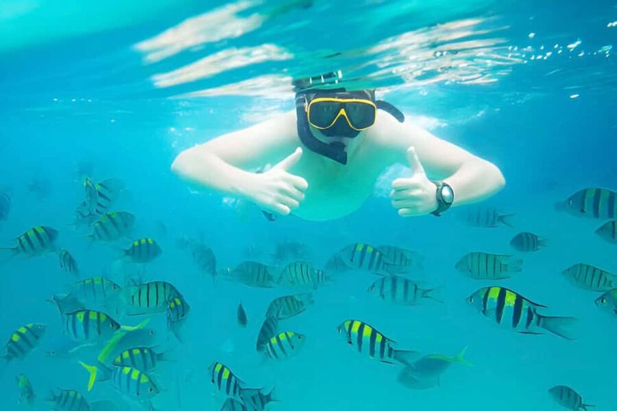 Puerto Plata: Snorkeling Excursion to Sosúa beach - The boat ride: short, scenic, and actually useful
