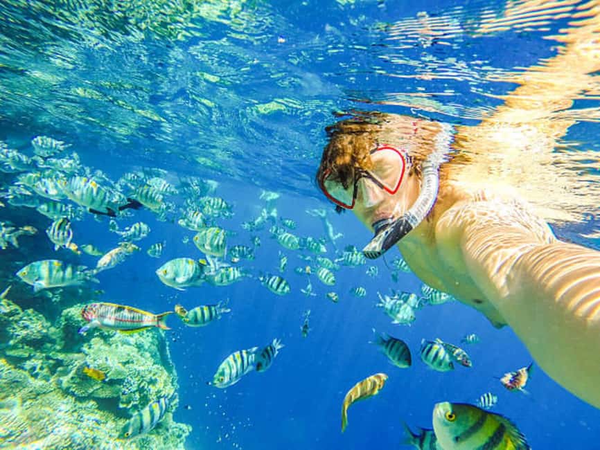 Puerto Plata: Snorkeling Excursion to Sosúa beach - Getting to Sosúa: pickup, timing, and cruise-port friendly rhythm