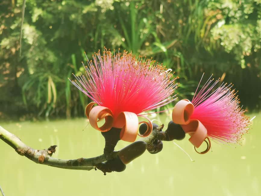Puerto Plata: Taino Valley and Dominican Flavor Experience - Fruit tasting under a leaf roof and the petting-zoo pause