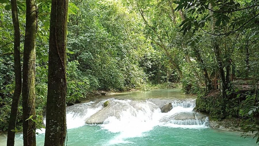 Puerto Plata: Taino Valley and Dominican Flavor Experience - Who should book this day trip and who should skip it
