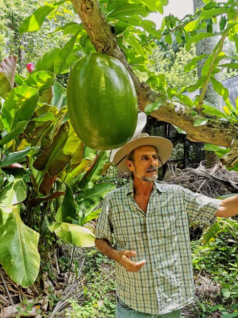 Puerto Plata: Taino Valley and Dominican Flavor Experience - Taino Valley Tropical Park: plants, Taino statues, and pond views