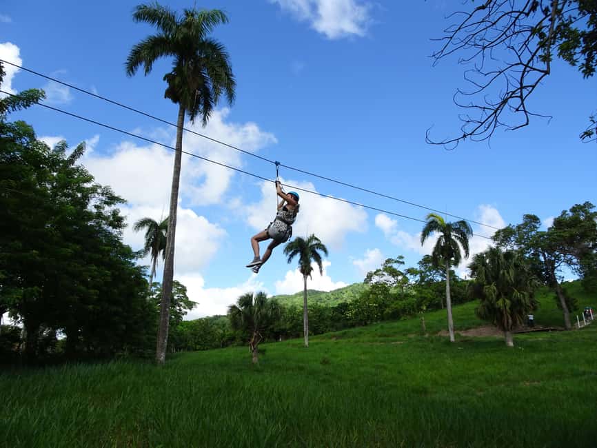 Puerto Plata: Zip Line Adventure - Price and Value: Is $74 a Good Deal?