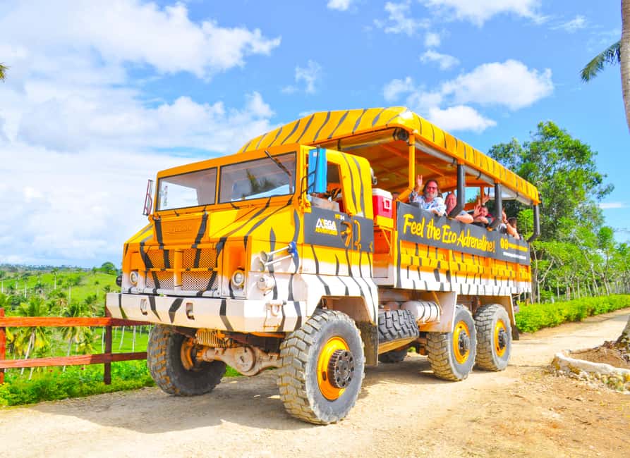 Puerto Plata: Zip Line, Horseback Riding, & Waterfall Combo - Zip Lines: Six Runs of Adrenaline and the Safety Reality