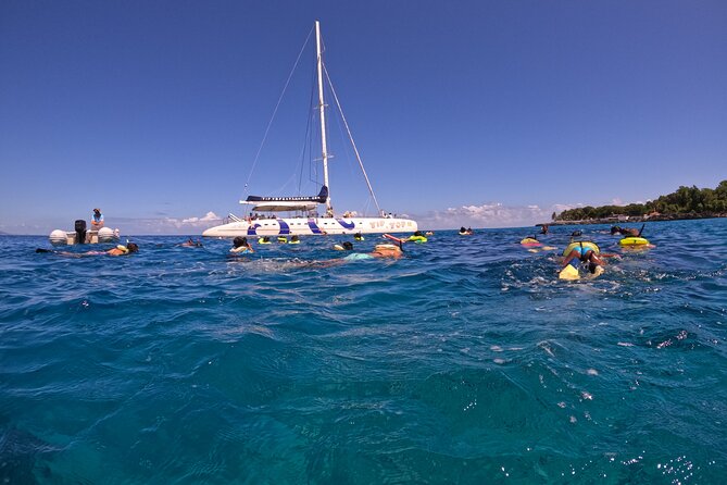 Sailing Catamaran Excursion - Key highlights