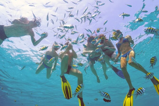Sailing Catamaran Excursion - Sosua to Puerto Plata: what a 7-hour catamaran day feels like
