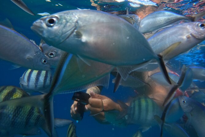 Sailing Catamaran Excursion - Should you book this Sailing Catamaran Excursion?