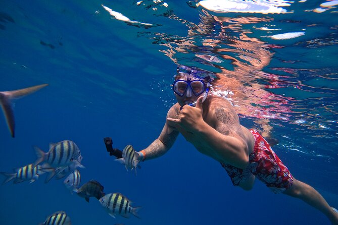 Sailing Catamaran Excursion - Snorkeling at three Sosua spots: reefs, fish, and practical expectations