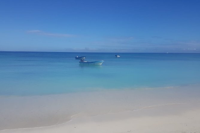 Sand fell Paradise Island Excursions - Key highlights if you care about the details