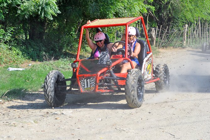 Shore Excursion Cruise ship Waterfalls y Buggys - Who should book this Damajagua and buggy excursion?