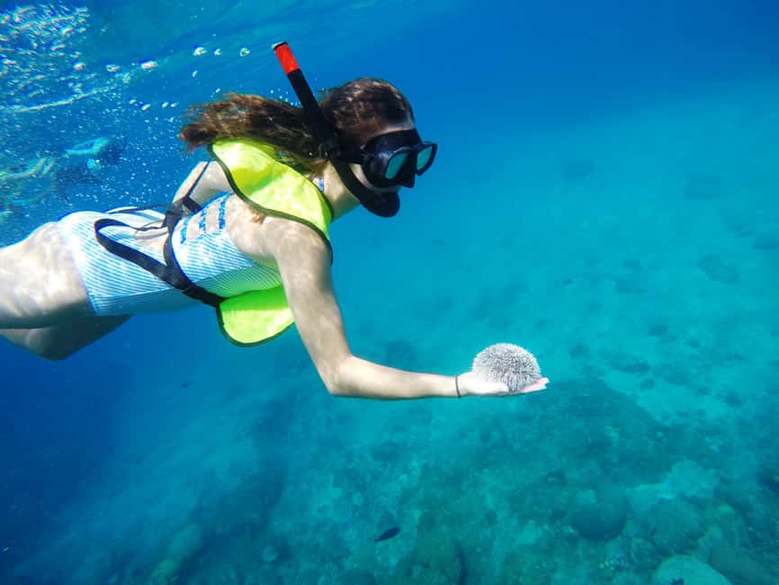 Snorkeling Tour & Sosua Beach Day - Key highlights worth getting excited about