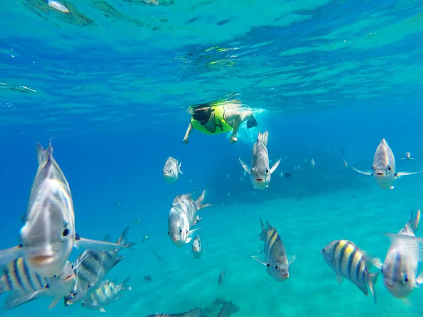 Snorkeling Tour & Sosua Beach Day - Sosua Bay Start: warm water, easy beach access