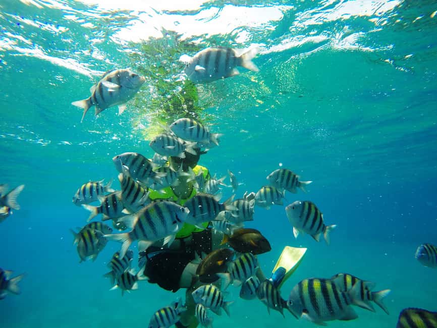 Snorkeling Tour & Sosua Beach Day - Boat-and-water time: the part that depends on calm confidence