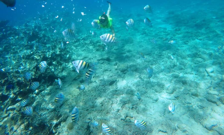 Snorkeling Tour & Sosua Beach Day - Three Rocks and your second reef: why two stops are better than one