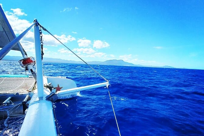 Sosua Catamaran Excursion - Pickup and Timing: The 8:00 to 9:00 AM Window