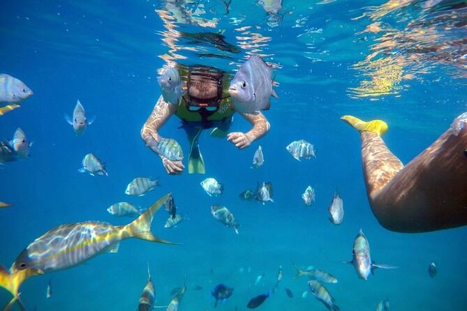 Sosua Party Boat -Snorkeling-Brunch-Drinks-Snacks-Transportation - What you actually do on a 4-hour party boat day