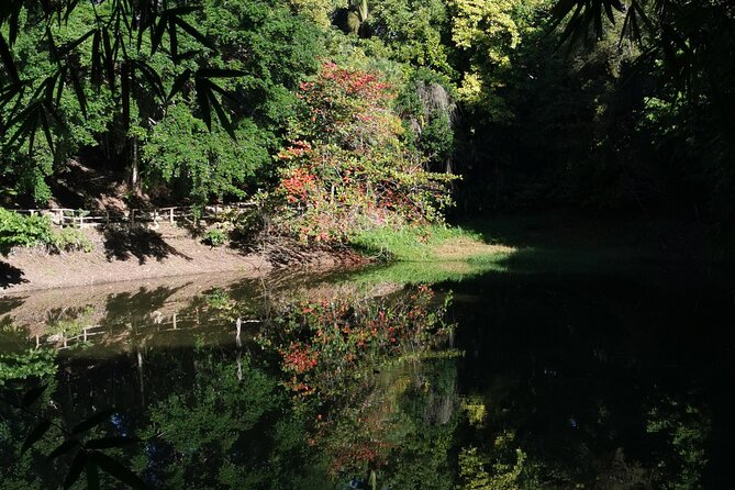 Taino Valley Tropical Park Puerto Plata Tubagua - Fruit tasting and traditional brewed coffee: included perks that feel real