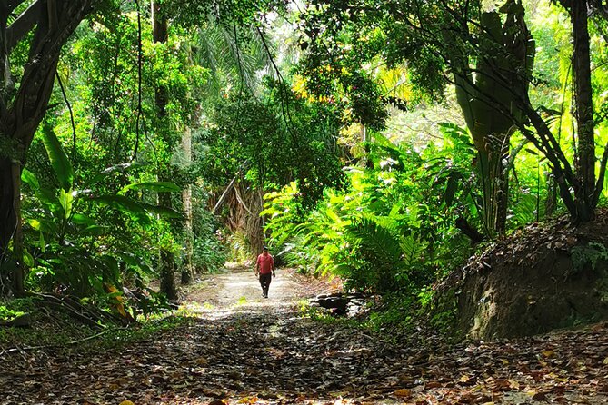 Taino Valley Tropical Park Puerto Plata Tubagua - Price and value: what $79 includes for a 4–5 hour experience