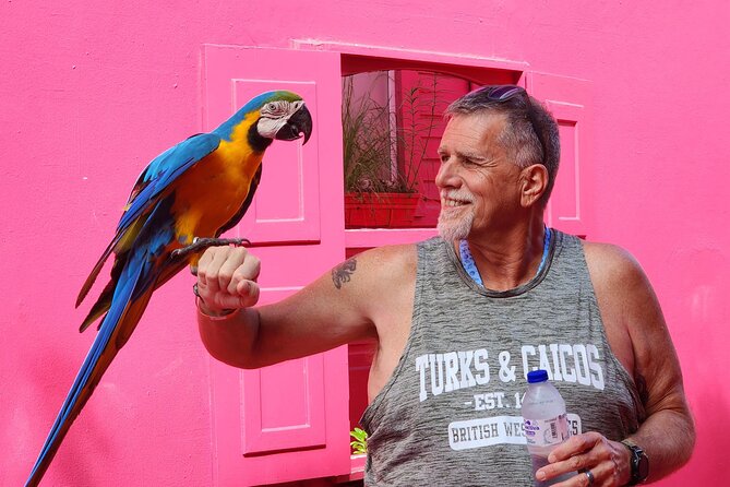 The Ultimate Puerto Plata Challenge: City & 7 Waterfalls - Damajagua 27 Waterfalls: How to Prepare for the Real Rules