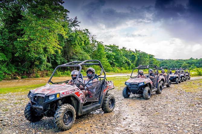 Triple fun! Monkeyland + Damajagua Waterfalls + Buggies from Puerto Plata - Key highlights at a glance