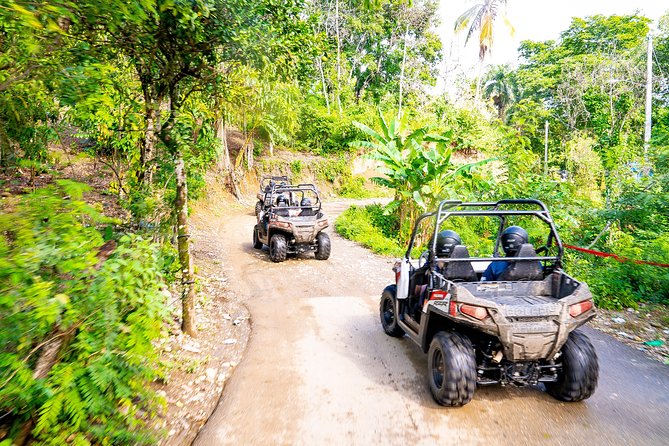 Triple fun! Monkeyland + Damajagua Waterfalls + Buggies from Puerto Plata - Why this Puerto Plata combo tour feels efficient