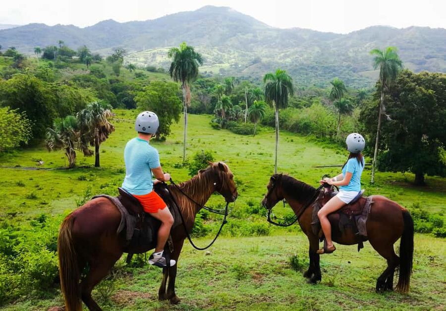 VIP DayPass | ATV's, Zip Lines, Horse Riding| Hotel & Cruise - Zip Lines: 8 Certified Lines With a Bird’s-Eye Angle on the Countryside