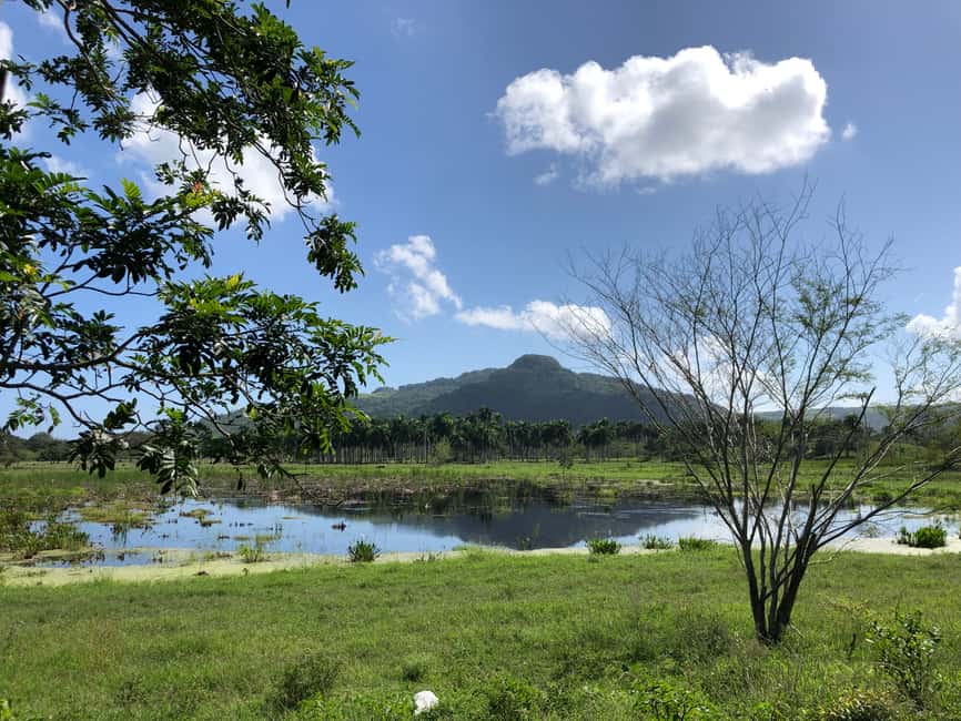 VIP DayPass | ATV's, Zip Lines, Horse Riding| Hotel & Cruise - Horseback Riding Through Dominican Views (Not Just a Photo Stop)
