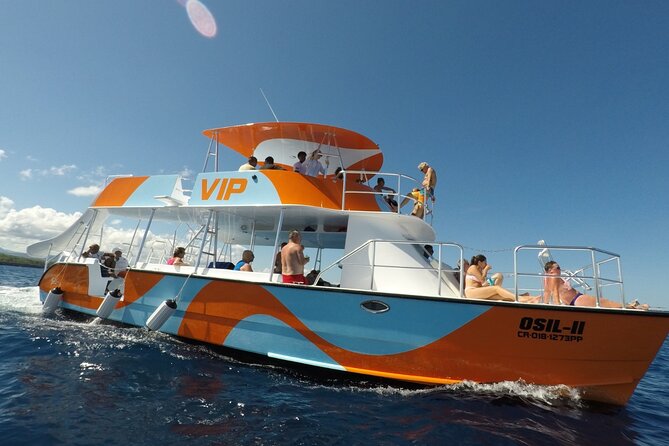 VIP Fascinating Boat Ride & Snorkeling at Sosua Bay - Sosua Bay snorkeling from Puerto Plata: the short version