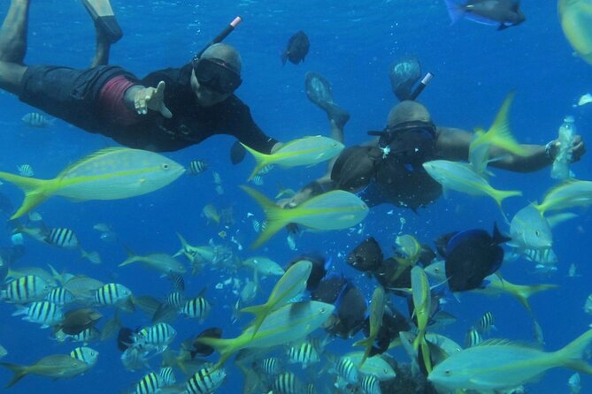 VIP Party Boat & Snorkeling - Getting to Sosua: the easiest part of your whole day