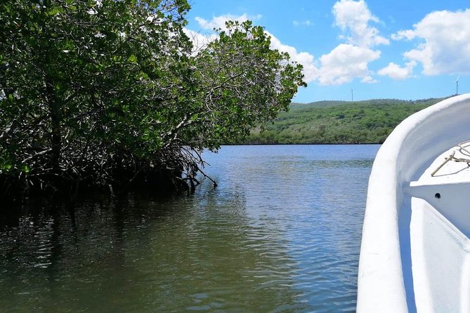 VIP tour to Paradise Island & The Mangroves - Small-group energy and attentive hosting (Richard and Lotta show up)