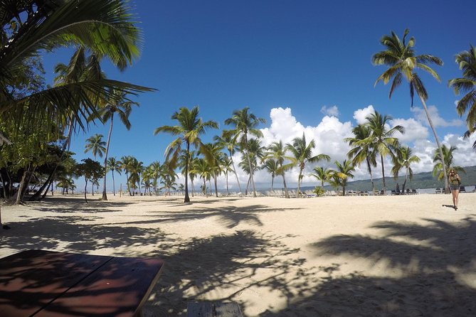 Whale Watching in Samana - How to read the boat experience: seeing whales vs. feeling rushed