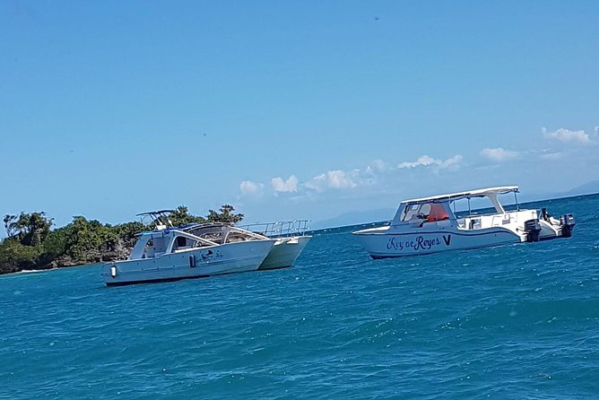 Whale Watching in Samana - Food and drinks: what’s included and what to plan
