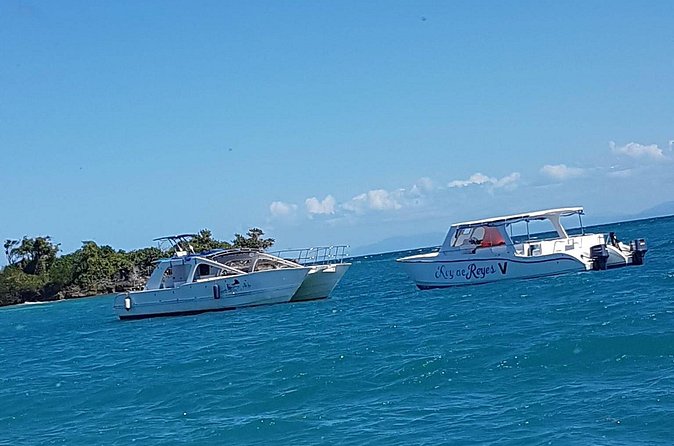 Whale Watching in Samana - Group size, crowds, and how to get the best odds