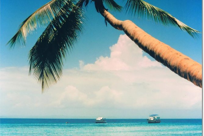 Whale Watching in Samana - Price and value: is $132.31 a fair deal?